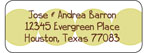 Queen Bee Personalized Return Address Labels - Modern Dots Green (LBL-09)